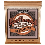 Ernie Ball EB2144 Earthwood Med. Phosphor Bronze Set (13-56)