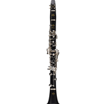 Buffet Protege Clarinet