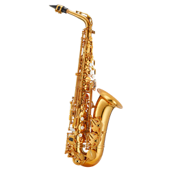 Antigua AS6200VLQ "Pro One" (professional level)