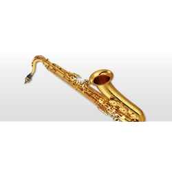 Yamaha YTS-62III (professsional model)