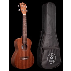UKC-3 Amahi Mahogany Concert Ukelele